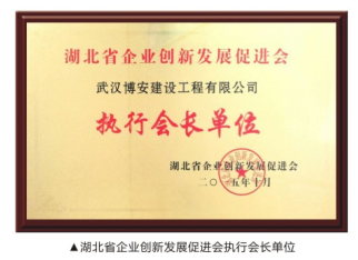 湖北省企業(yè)創(chuàng)新發(fā)展促進(jìn)會(huì)執(zhí)行會(huì)長(zhǎng)單位