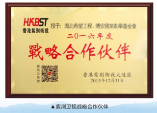 戰(zhàn)略合作伙伴